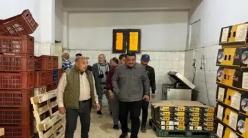 ضبط نصف طن أسماك مدخنة “رنجة” غير صالحة للاستهلاك الآدمي بالشرقية